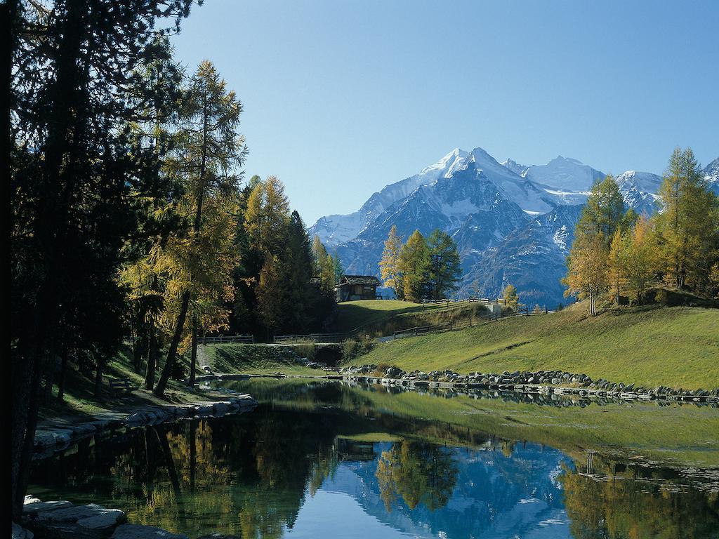 Chalet Soldanella Grachen Exterior photo