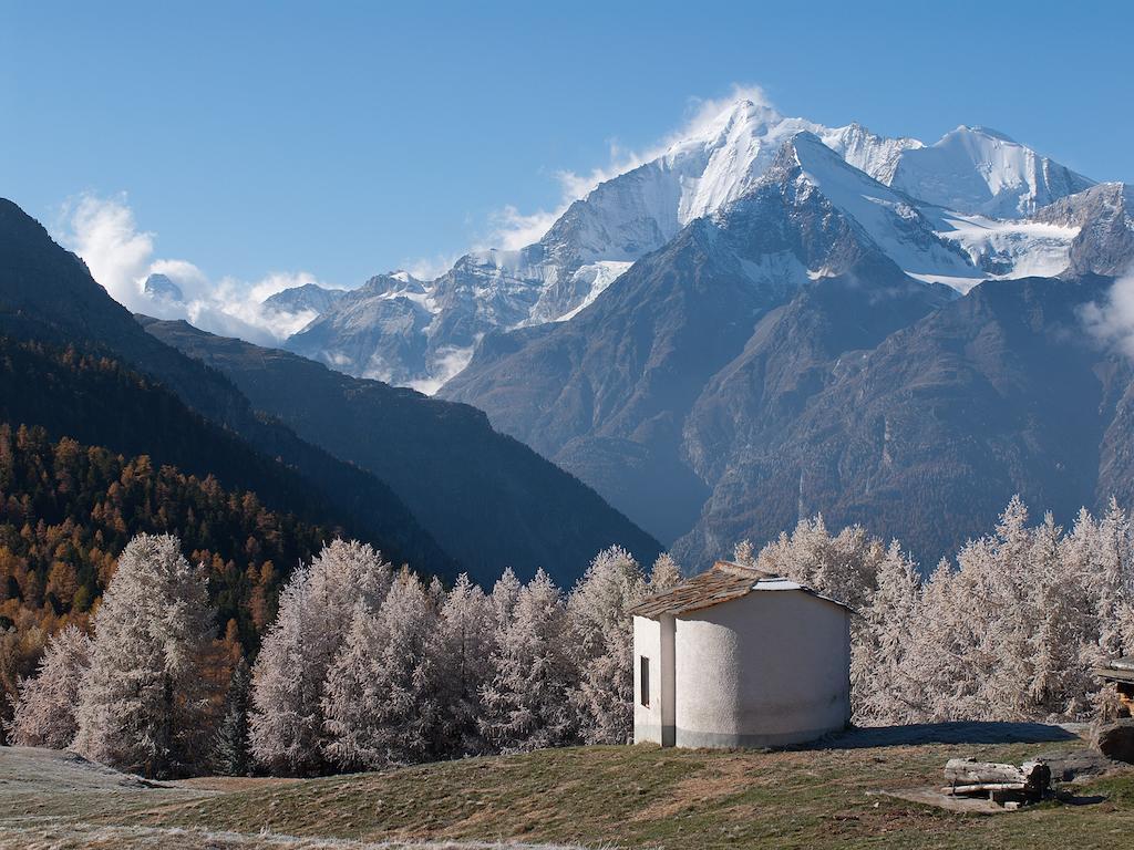 Chalet Soldanella Grachen Exterior photo