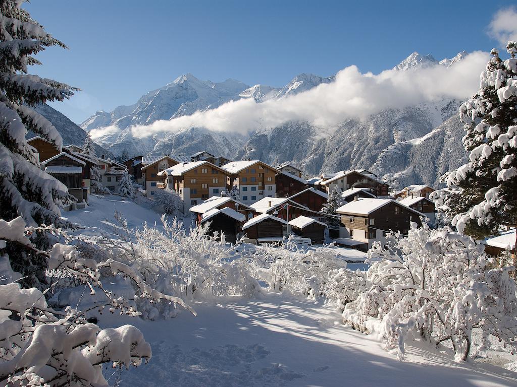 Chalet Soldanella Grachen Exterior photo